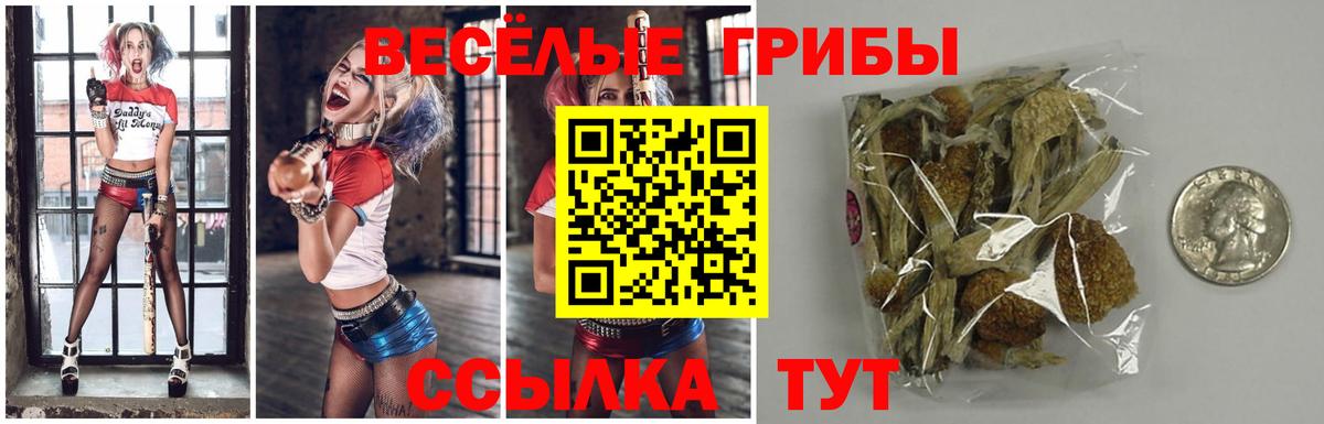 Галлюциногенные грибы прущие грибы Кулебаки